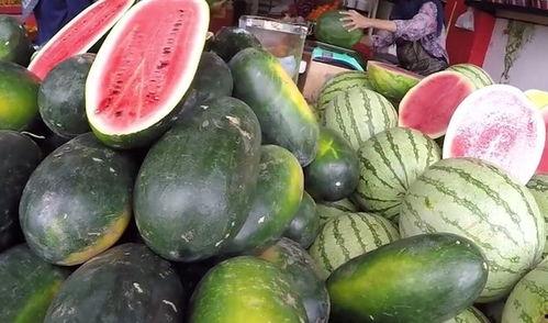 中国免费吃瓜 第3张 中国免费吃瓜 第3张