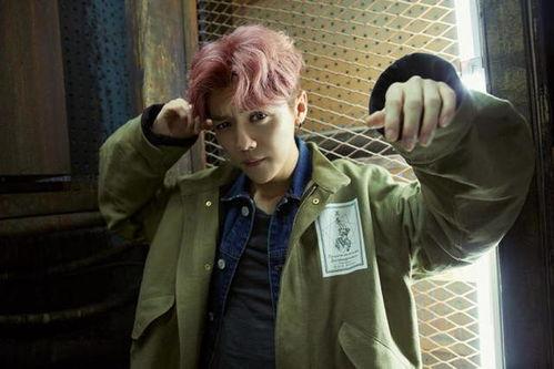 鹿晗最新消息爆料视频,独家爆料视频大揭秘 第1张 鹿晗最新消息爆料视频,独家爆料视频大揭秘 第1张